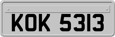 KOK5313