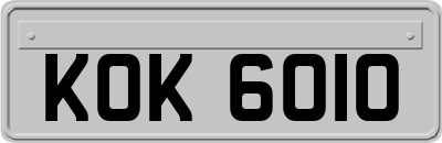 KOK6010
