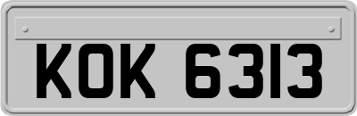 KOK6313
