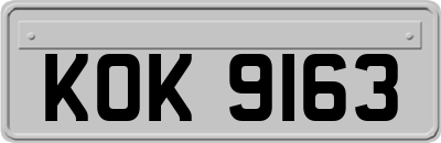 KOK9163