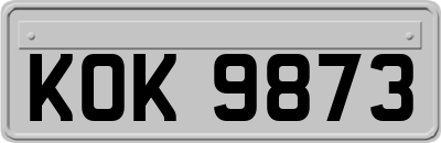 KOK9873