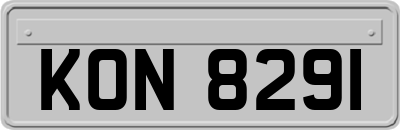 KON8291