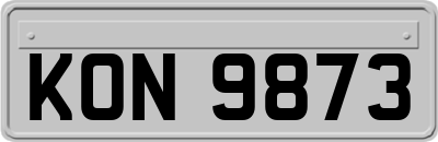 KON9873