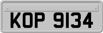 KOP9134