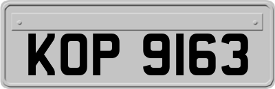 KOP9163