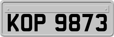 KOP9873
