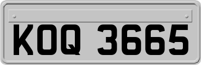 KOQ3665