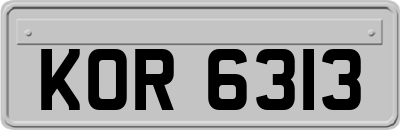 KOR6313