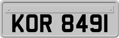 KOR8491