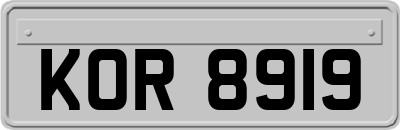 KOR8919