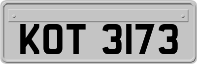 KOT3173