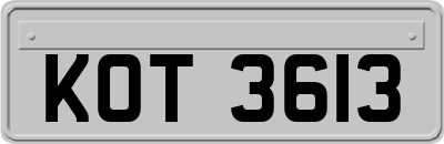 KOT3613