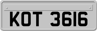 KOT3616