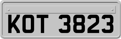 KOT3823