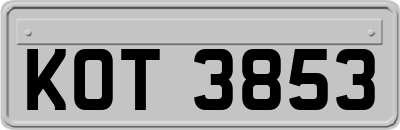 KOT3853