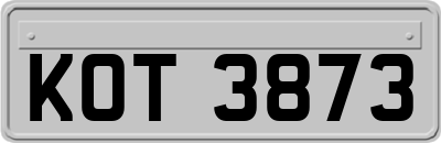 KOT3873