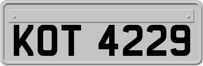 KOT4229
