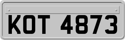 KOT4873