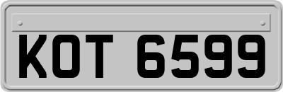 KOT6599