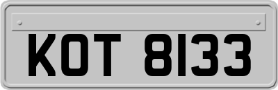 KOT8133