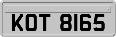 KOT8165