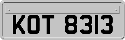 KOT8313