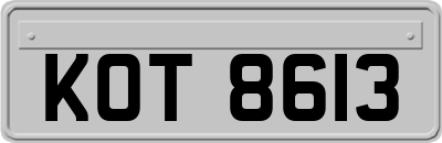 KOT8613