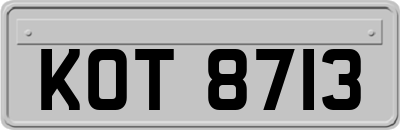 KOT8713