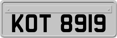 KOT8919