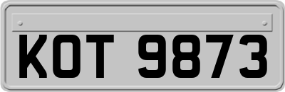 KOT9873