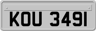 KOU3491