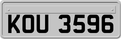 KOU3596