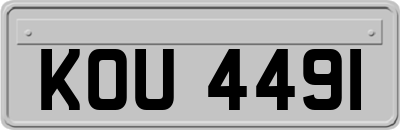 KOU4491