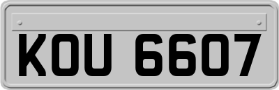 KOU6607