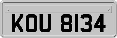 KOU8134
