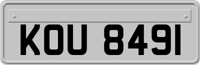 KOU8491
