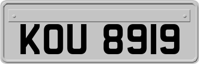 KOU8919