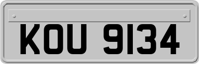 KOU9134