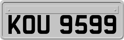 KOU9599