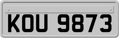KOU9873
