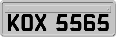 KOX5565