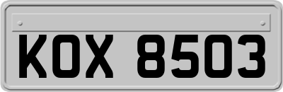 KOX8503
