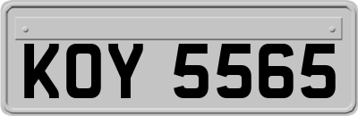 KOY5565