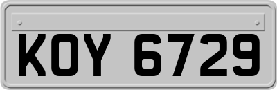 KOY6729