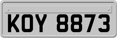 KOY8873
