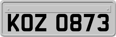 KOZ0873