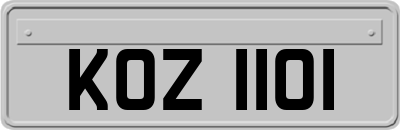 KOZ1101