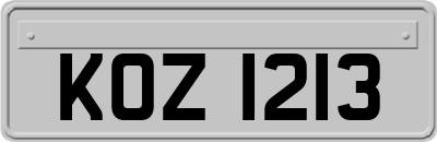 KOZ1213