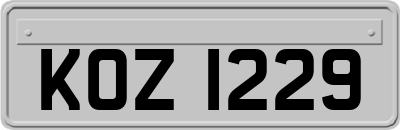 KOZ1229