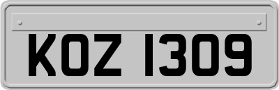 KOZ1309